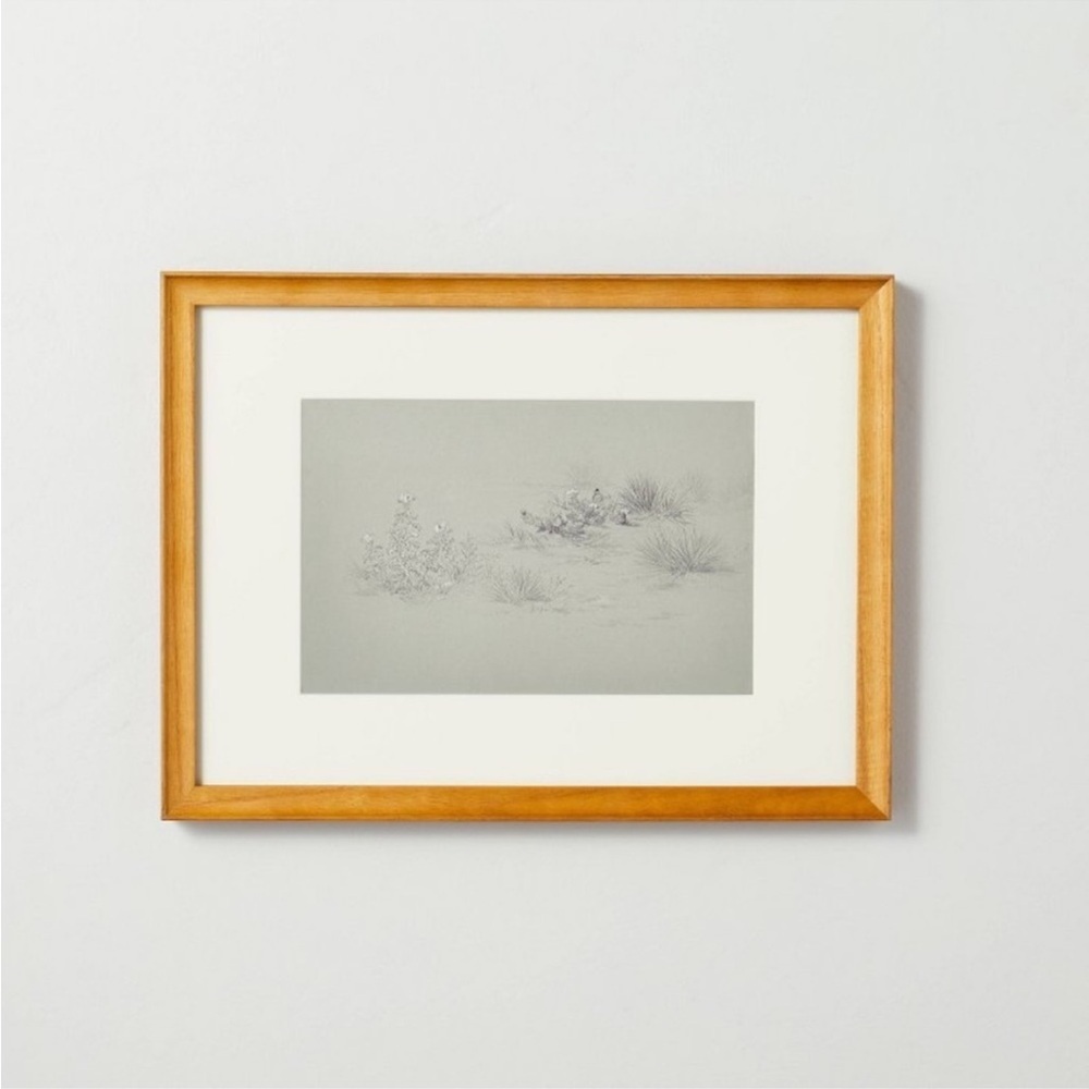 Hearth & Hand Magnolia 12x16 Desert Sketch Framed Wall Art Cream/Gray  S…